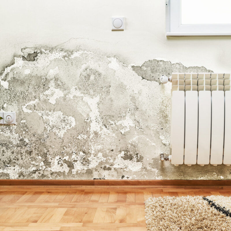 Wheatley Plastering & Damp Solutions | Plastering & Damp Services | Covering Kent Areas