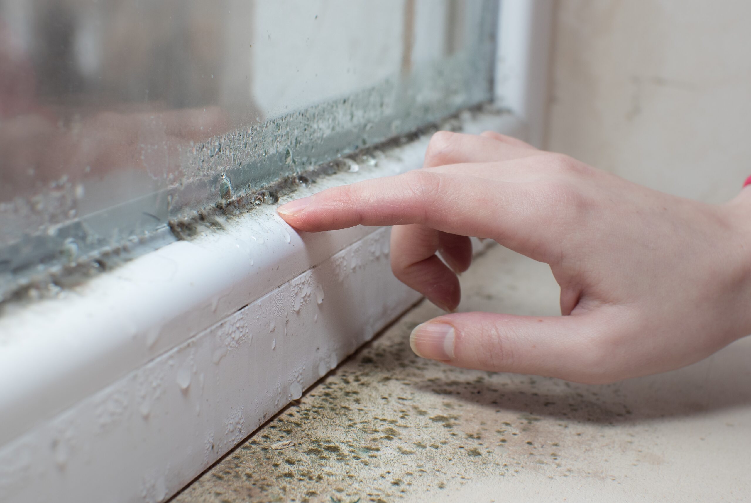 The Importance of Expert Damp Treatments