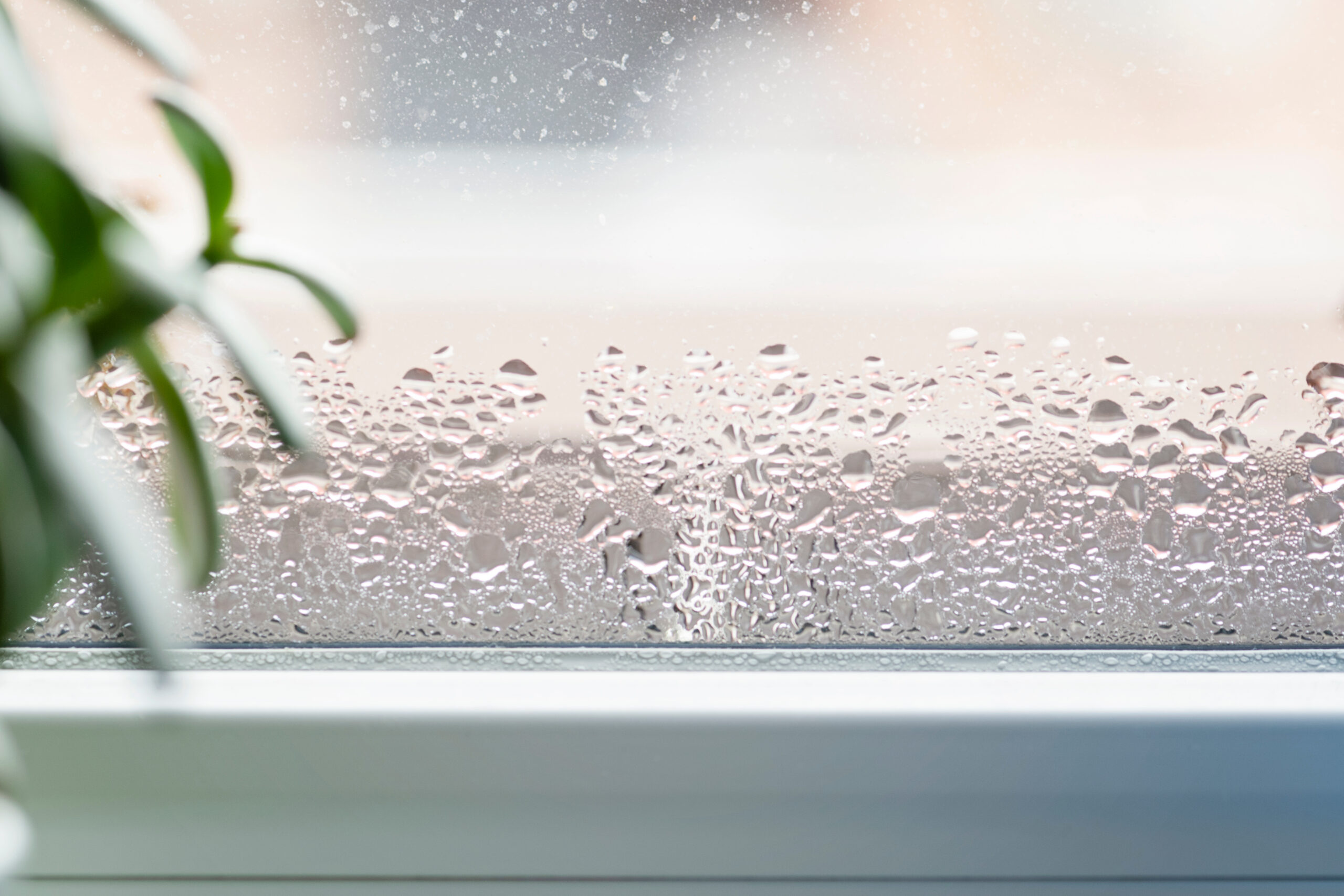 Condensation Control: The Ultimate Guide