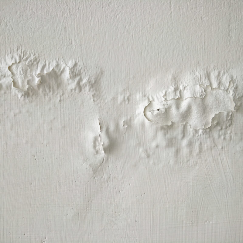 Rising Damp